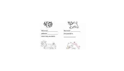 mammals characteristics worksheet