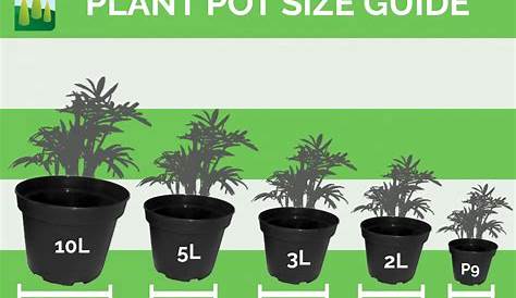 Plant Pot Size Guide - Commercial Nursery | Johnsons Of Whixley Home