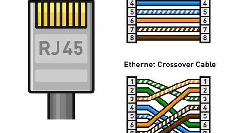 Ethernet connector pinout color code straight and Vector Image