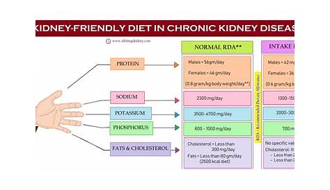What is a Kidney-friendly Diet? - All Things Kidney ~ Official
