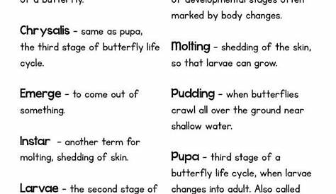 Butterfly Life Cycle Vocabulary | Butterfly life cycle, Vocabulary