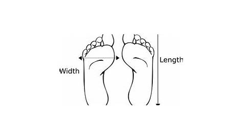 How to measure your foot? Taking the right foot measurements. – ELF