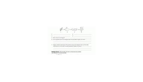 life science worksheet answers