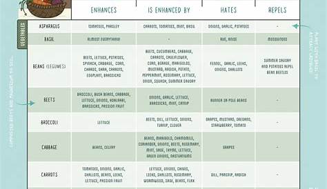 vegetable compatibility planting guide