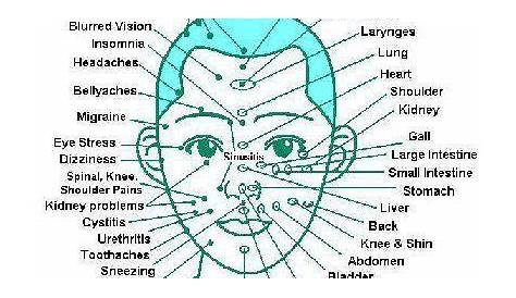 The facial nerve points that correspond to the rest of your body