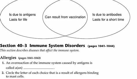 immune system worksheets answer key