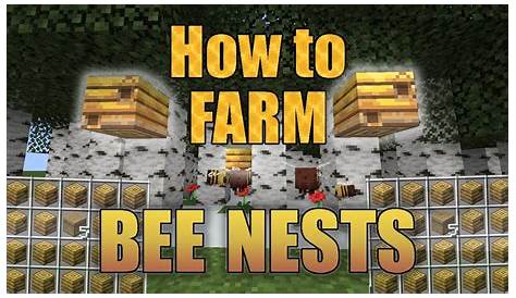 How to get TONS of Bee Nests in Minecraft! (Java 1.15.2 +, Bedrock