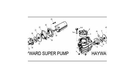 Replacing a Hayward Pump Motor | InTheSwim Pool Blog