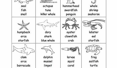 Sea Animals Live Worksheet | Printable Worksheets and Activities for