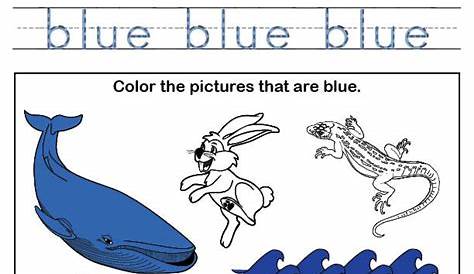 Color Blue Worksheet – SupplyMe