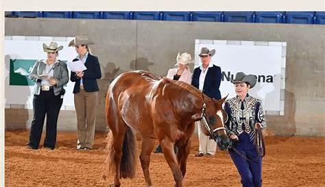 cha horsemanship composite manual