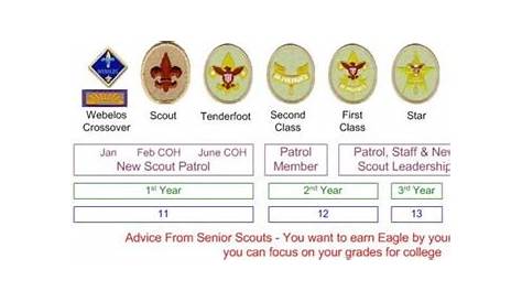 rifle merit badge worksheets