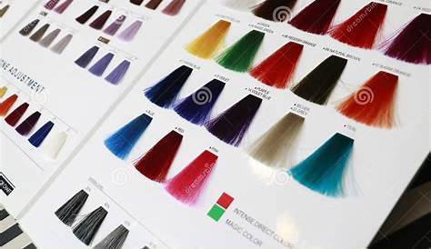 Hair Color Chart in Modern Tone Stock Image - Image of paintbrush, paint: 196203593