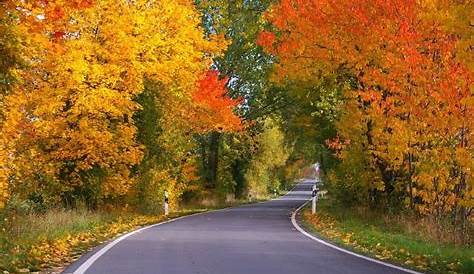 southern michigan fall color tours driving