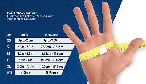 Glove Size Chart - AMMEX - Your Glove Partner