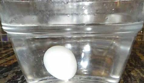 egg float test chart