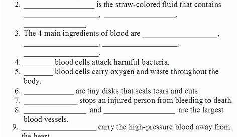 The Circulatory System Worksheet Answer Key Fill In The Blank - Master Pdf