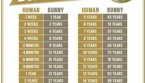 wild rabbit age chart