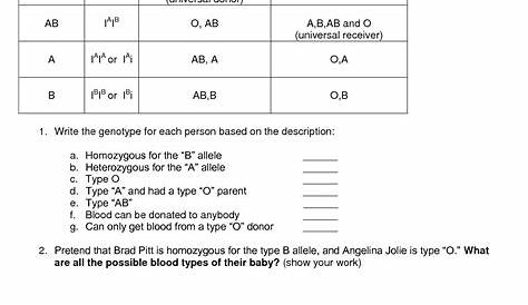 Codominance Worksheet Blood Types Answer Key
