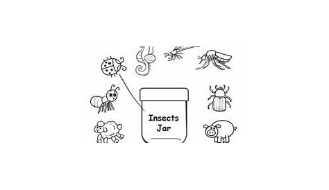 insects worksheets