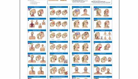 Trigger Point Wall Chart - Kent Health Systems