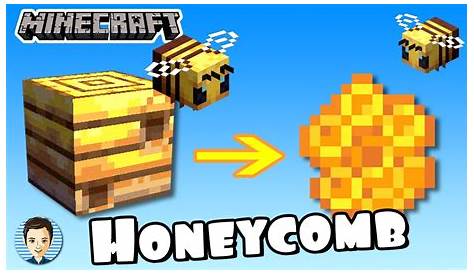 how do you make a beehive in minecraft