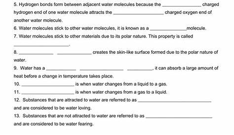 Properties Of Water Worksheet Biology