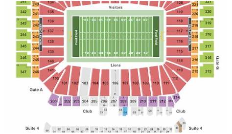 Ford Field Tickets with No Fees at Ticket Club
