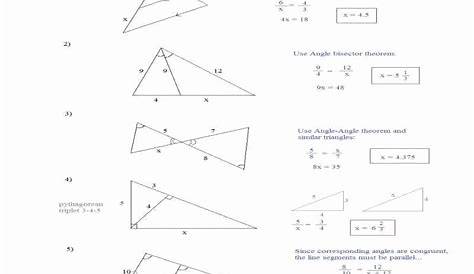 50 Similar Right Triangles Worksheet
