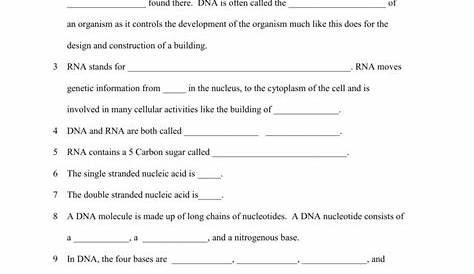 DNA Worksheet