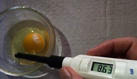 temperature to fry an egg