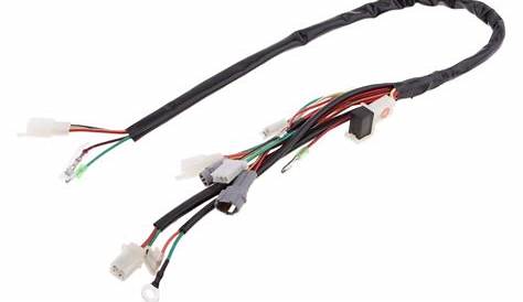 pw50 wiring harness