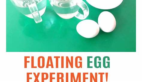 floating egg experiment worksheet