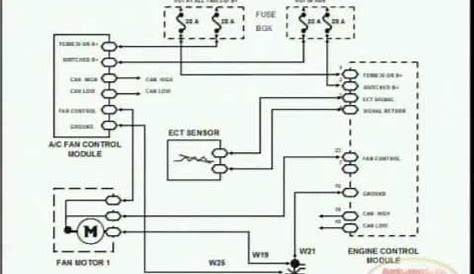 Cooling Fan Wiring Diagram Auto