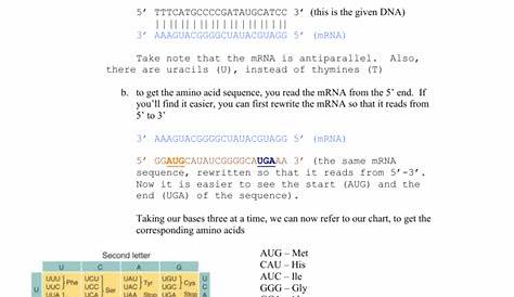 genetic code table worksheet