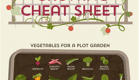 compatible vegetable planting guide