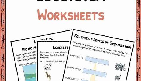 What Is An Ecosystem Worksheet - Promotiontablecovers