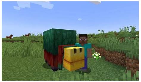 what does the minecraft sniffer do