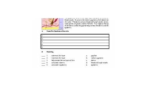 health and wellness worksheets