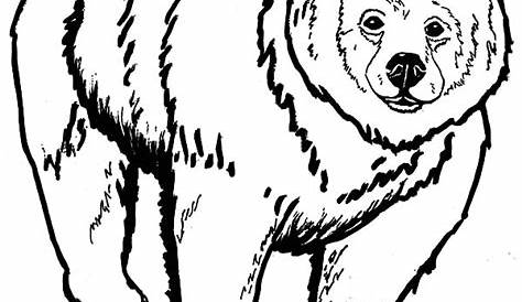 Grizzly Bear coloring, Download Grizzly Bear coloring for free 2019