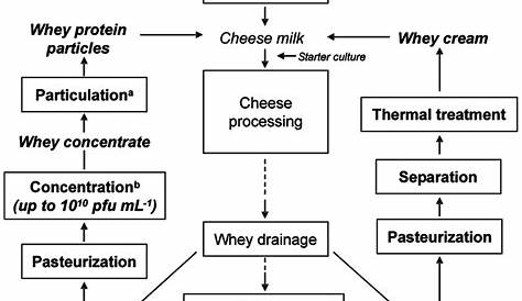 Flow chart of a cheese-making process in which concentrated whey