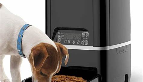 Top 10 Programmable Food Dispenser For Dogs - Home Previews
