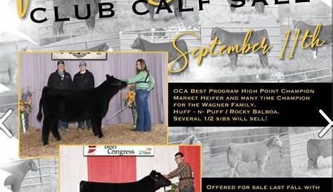 Kopp Land and Cattle | Show Circuit Online Sales | 9.11.19 | Lautner Farms