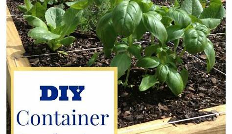How to Plan a DIY Container Garden - 3 Little Greenwoods