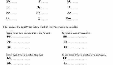 13 Best Images of DNA Code Worksheet - Protein Synthesis Worksheet