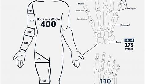 workers compensation whole body impairment rating chart