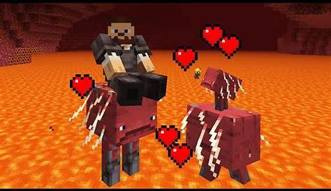 How To Breed Striders In Minecraft