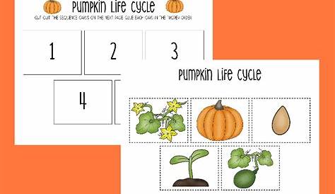 printable life cycle of a pumpkin