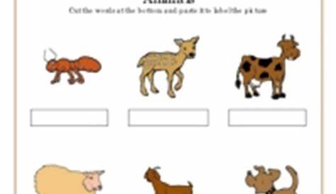 grade 2 science worksheet animals
