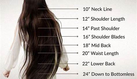 Hair Length Chart: Easy Measurement, Styles & Care Guide
